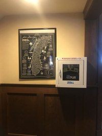 Defibrillator